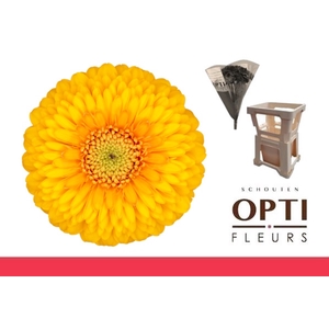 GE MB POM HONEYDEW-Water hoes