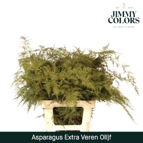 <h4>Aspa extra veren Olive</h4>