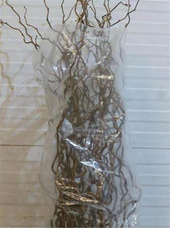 <h4>Corylus Av Contorta</h4>