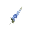 Delphinium Blue Light