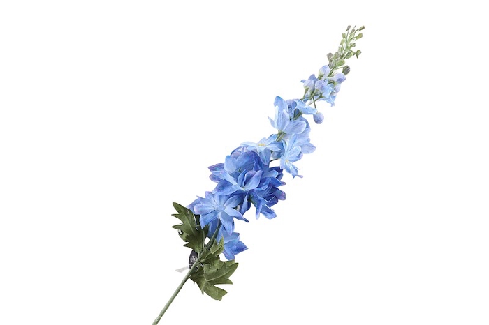 Delphinium Blue Light