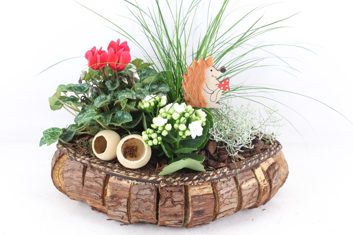 <h4>arr4 Outdoor VL - Hout blokjes bruin rood cycl.</h4>