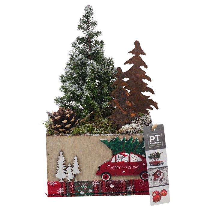 <h4>Arr. Kerst L%</h4>