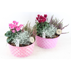 arr4 Outdoor PL - Zink roze diamant schaal