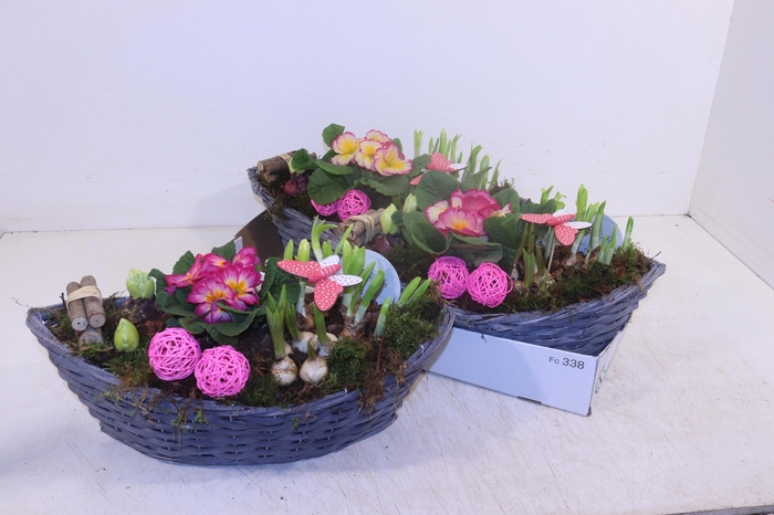 <h4>ARR TUINPLANTEN</h4>