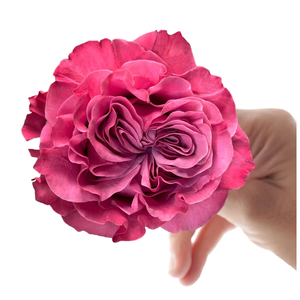 R GR COUNTRY BLUES Naranjo