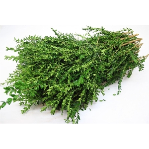 Buxus Pak 3kg