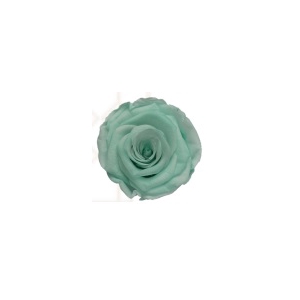 Rose light mint majestic pres.