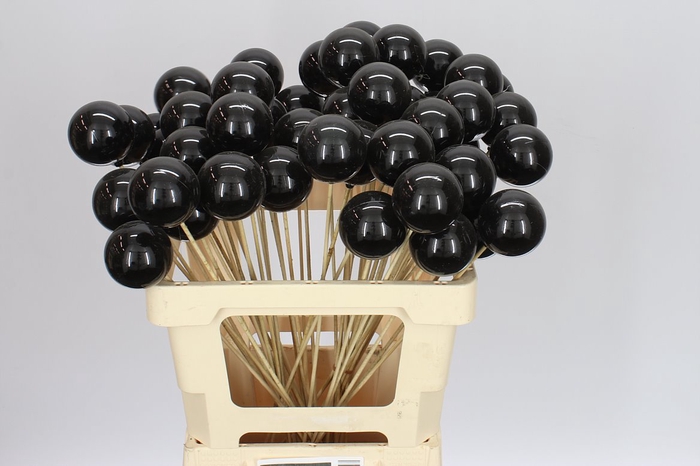 <h4>X-mas Balls Black</h4>