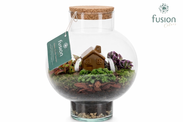 <h4>Green BottleLaura Small met Terrarium arrangement</h4>