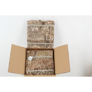 Birch Bark Pack 30x30cm(6p)