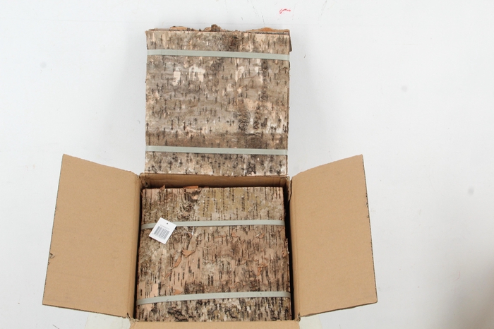 <h4>Birch Bark Pack 30x30cm(6p)</h4>