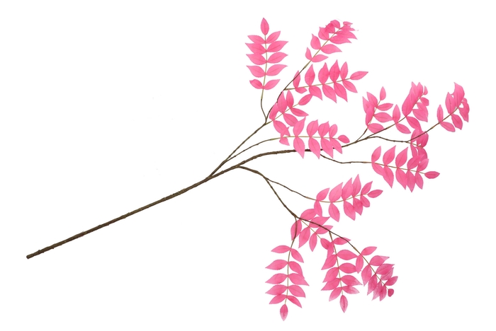 Silk Salix Leaf Beauty 135cm