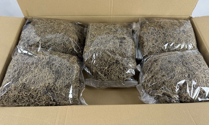 <h4>Moss Tillandsia Natural  500gr</h4>