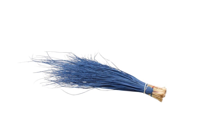<h4>Beargrass Blue</h4>
