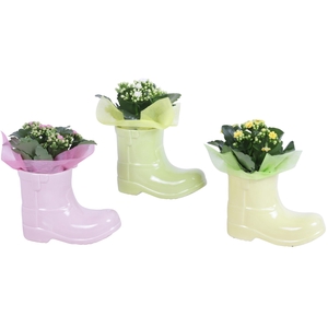 Early Spring Arr. Indoor Ceramic Boot Gr/Pi/Ye Ø20cm 1PP
