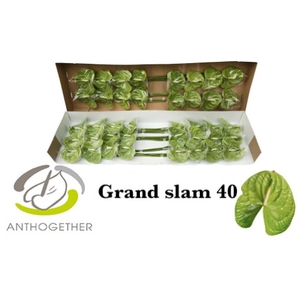 ANTH A GRAND SLAM 40 smart pack
