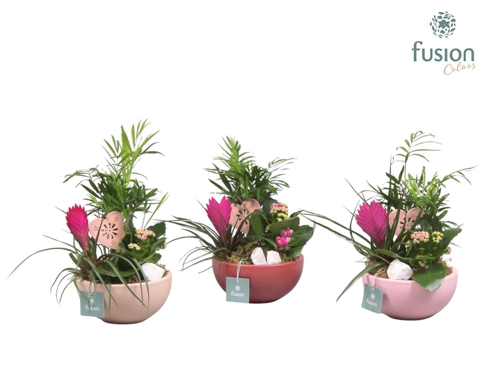 <h4>Schaal keramiek Moon Small Love met arrangement</h4>