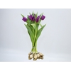 TULIPA ROXO COM BULBOS