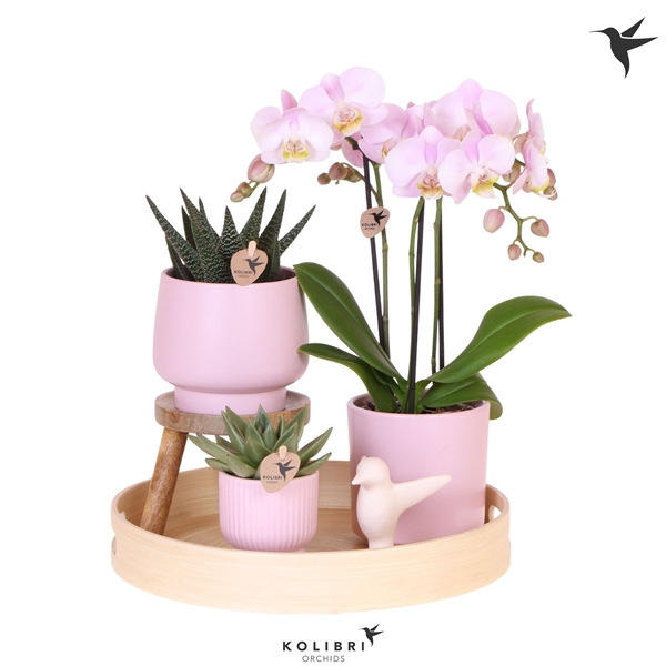 <h4>Kolibri Gift Set Love pink</h4>