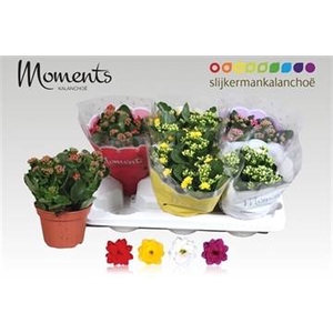 KALAN CALAN MIX MOMENTS P15