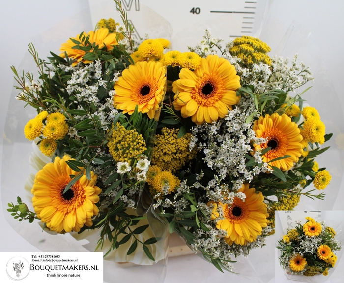 <h4>GEM BOEKET OV</h4>