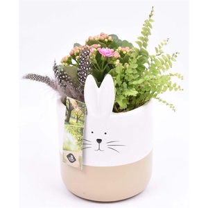 Keramiek pot konijn met oren