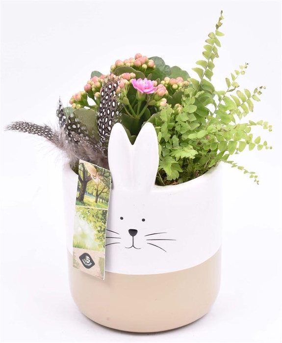 <h4>Keramiek pot konijn met oren</h4>