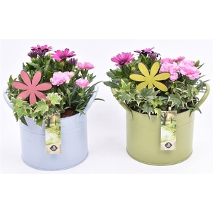 Zink ton kl.mix 15cm