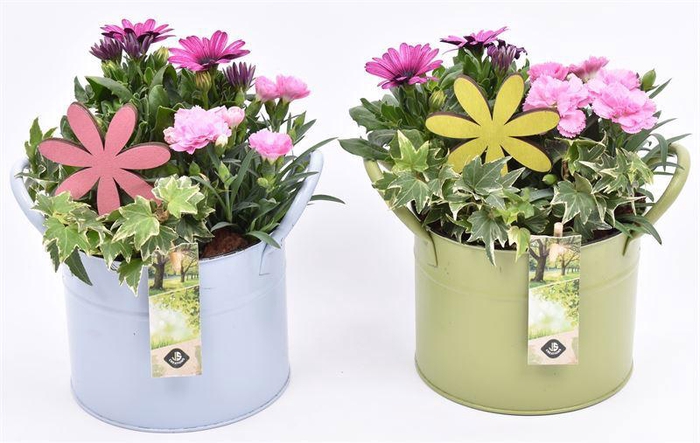 <h4>Zink ton kl.mix 15cm</h4>