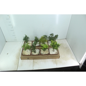 BONSAI JUNIOR VASO PLASTICO 1.1L