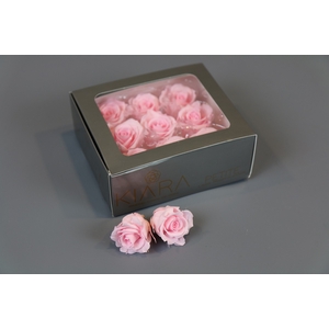 Rosa Preserved Bridal Pink Petite