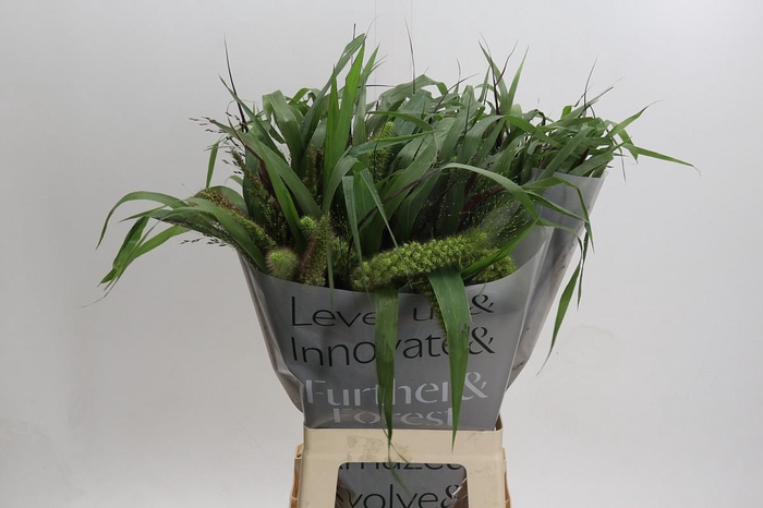 <h4>Grasses mix in bucket</h4>