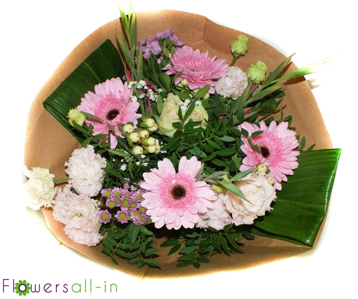 <h4>202340 Roze</h4>