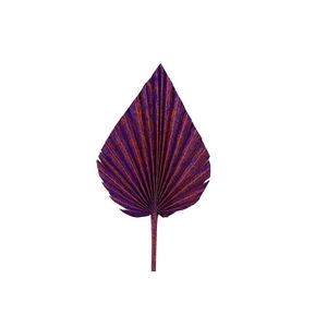 Dried Artz Palm Spear Xl Vermeer P Stem