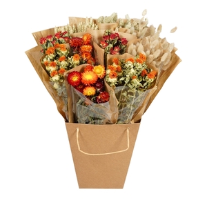 Droogbloemen-Dried Mono Mix 50cm-Orange