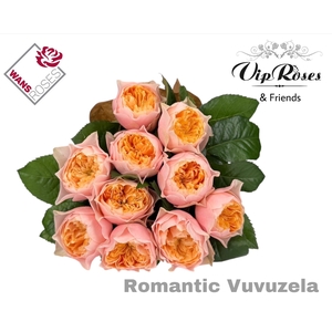 R GR ROMANT VUVUZELA
