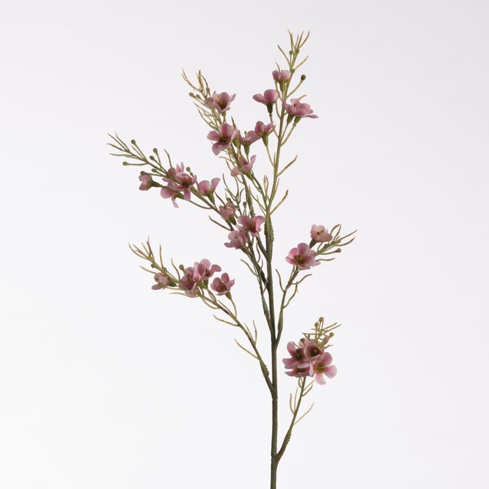 <h4>AF Wax Flower L69cm Pink</h4>