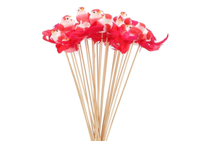 <h4>Pick Bird On Stick Red P/1 11x4x50cm Nm</h4>