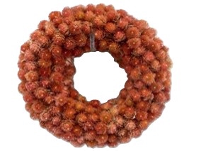 Wreath Gomphrena D20