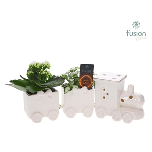 Keramiek LED Trein Medium met Arrangement