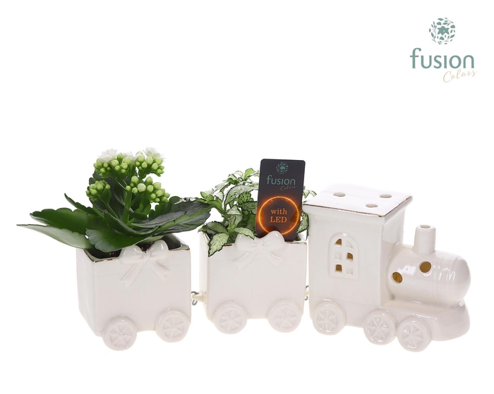 <h4>Keramiek LED Trein Medium met Arrangement</h4>