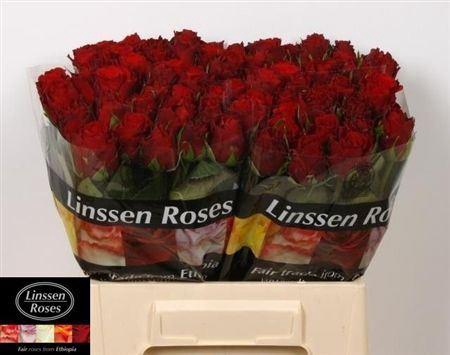 <h4>R Gr Upper Class</h4>