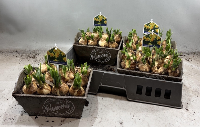 <h4>ARR N TETE A TETE</h4>