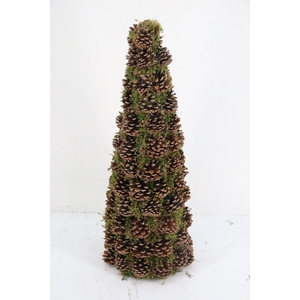 Cone Moss Pine Cone 65cm