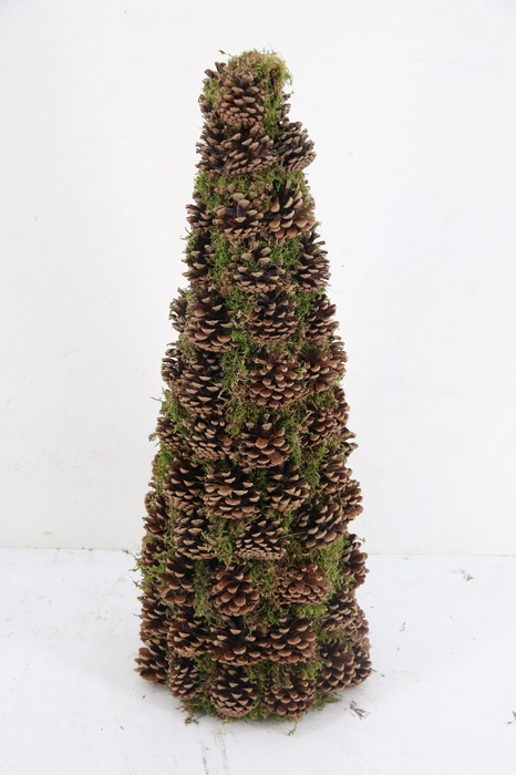 <h4>Cone Moss Pine Cone 65cm</h4>