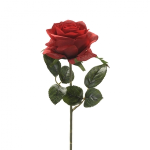 Rosa 45cm