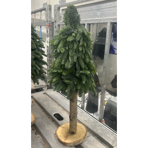 KERSTBOOM OP STAM 80 CM