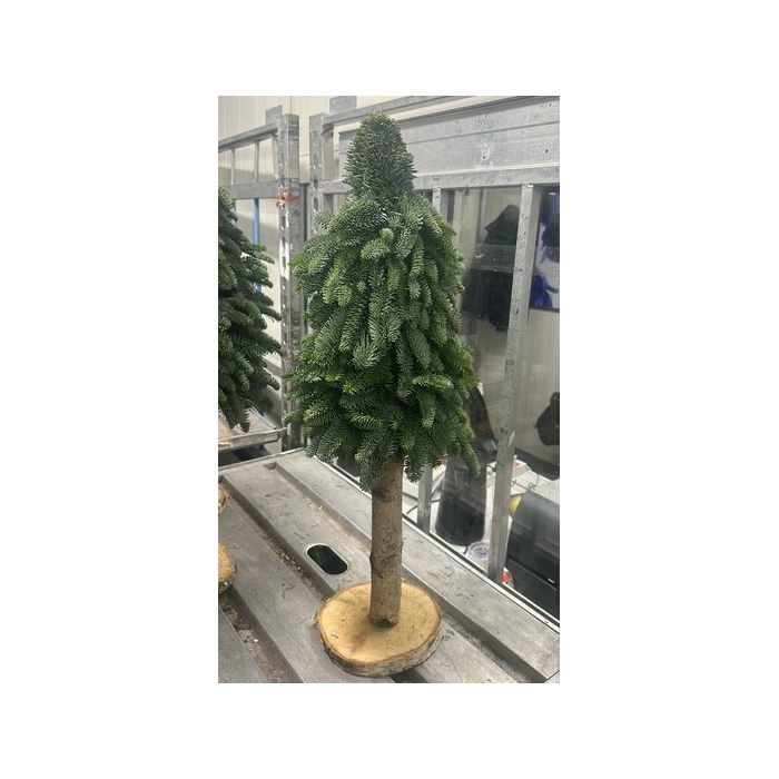 <h4>KERSTBOOM OP STAM 80 CM</h4>