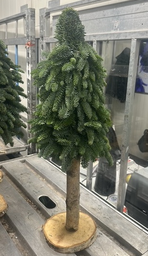 KERSTBOOM OP STAM 80 CM